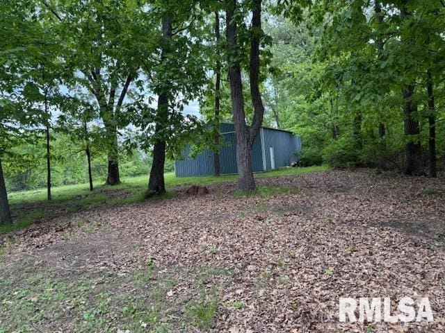17750 Freeman Spur Rd, Herrin, IL 62948 - photo 11