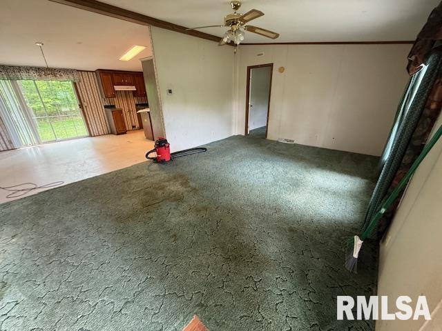 17750 Freeman Spur Rd, Herrin, IL 62948 - photo 5