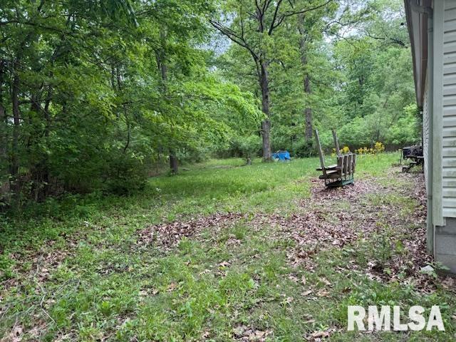 17750 Freeman Spur Rd, Herrin, IL 62948 - photo 10