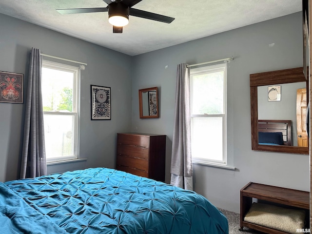 401 S 1st St, Marion, IL 62959 - carpeted bedroom with multiple windows and a ceiling fan