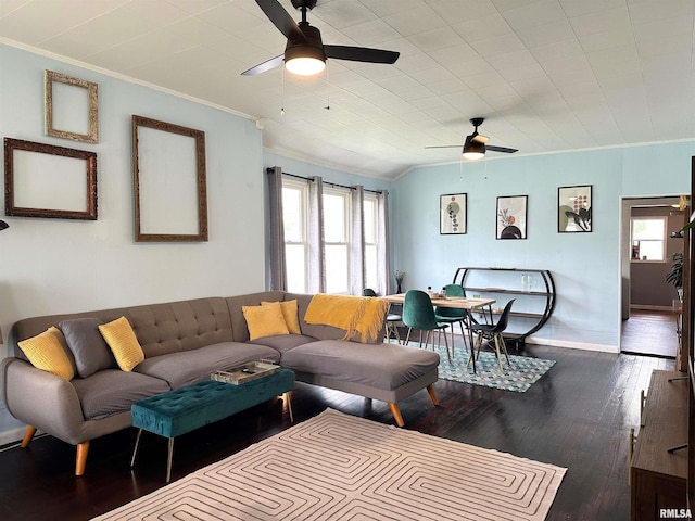 401 S 1st St, Marion, IL 62959 - living room with ceiling fan, crown molding, healthy amount of natural light, dark wood finished floors, and baseboards