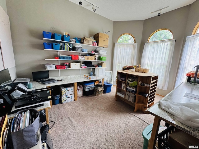 3621 Andrews Ct, Salem, IL 62881 - office space featuring rail lighting and carpet