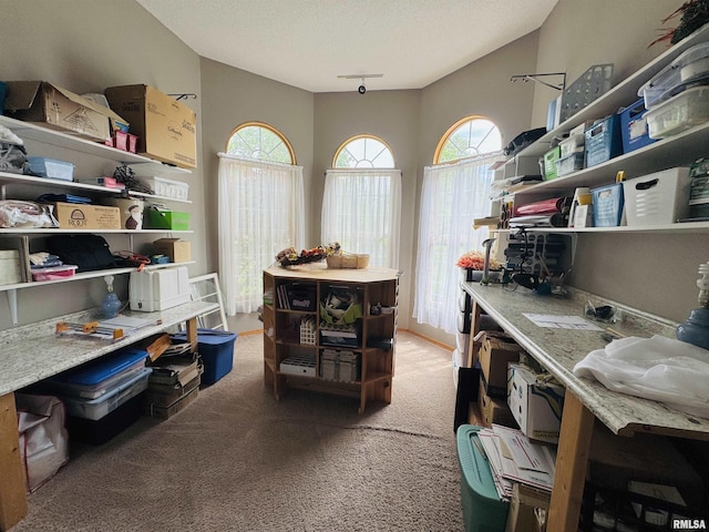 3621 Andrews Ct, Salem, IL 62881 - view of storage