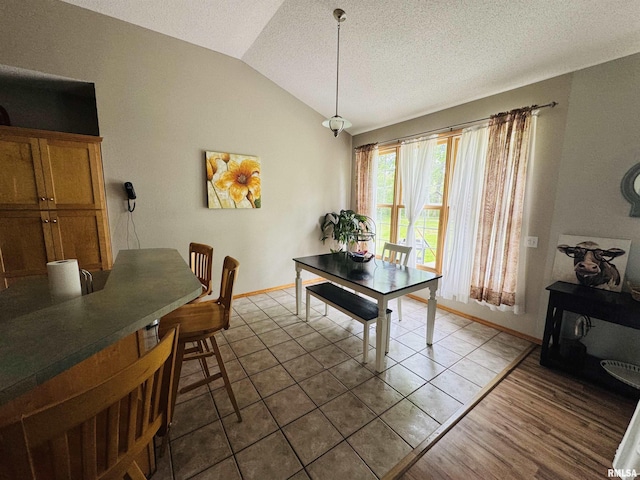 3621 Andrews Ct, Salem, IL 62881 - dining area featuring lofted ceiling, baseboards, and a textured ceiling