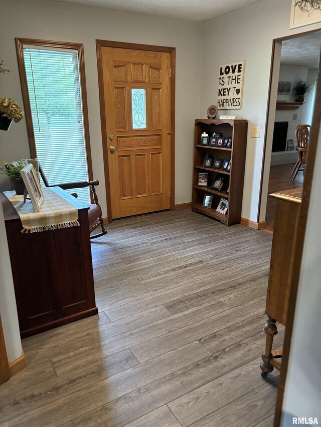 13916 Leisure Ln, Benton, IL 62812 - entryway with wood finished floors, plenty of natural light, and baseboards