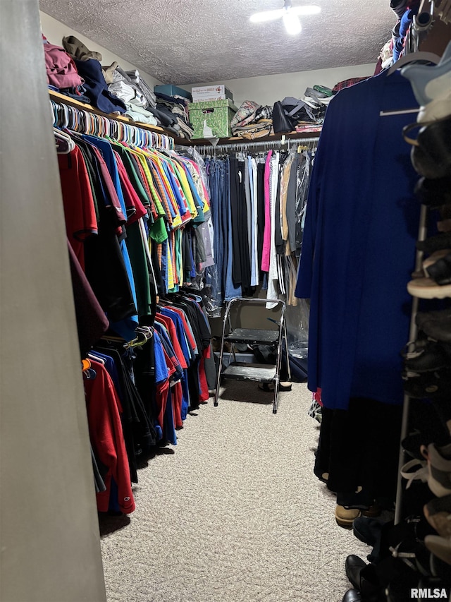 13916 Leisure Ln, Benton, IL 62812 - walk in closet with carpet flooring