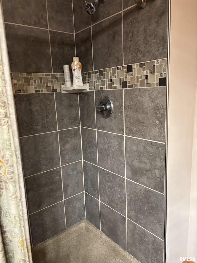 13916 Leisure Ln, Benton, IL 62812 - bathroom view of tiled shower