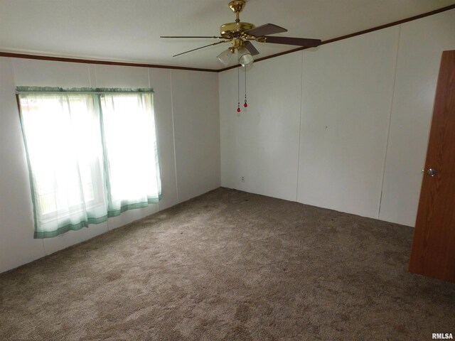 403 E Sycamore St, Kinmundy, IL 62854 - spare room with ceiling fan, carpet, and crown molding