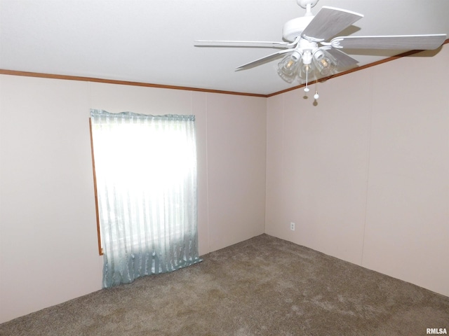 403 E Sycamore St, Kinmundy, IL 62854 - unfurnished room featuring carpet floors and ceiling fan