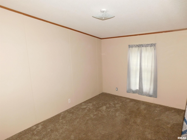 403 E Sycamore St, Kinmundy, IL 62854 - unfurnished room with carpet flooring and crown molding