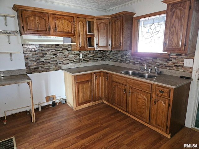 402 S Main St, Benton, IL 62812 - kitchen with a sink, under cabinet range hood, decorative backsplash, brown cabinetry, and crown molding