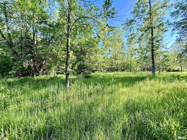 7544 Geranium Rd, Oakdale, IL 62268 - view of local wilderness