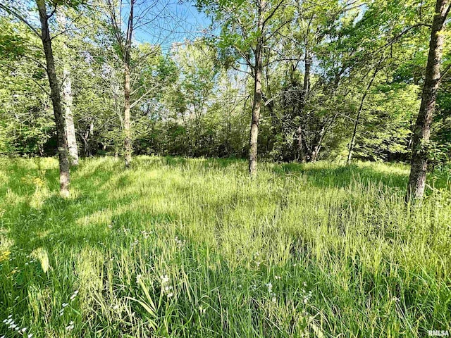 7544 Geranium Rd, Oakdale, IL 62268 - view of nature