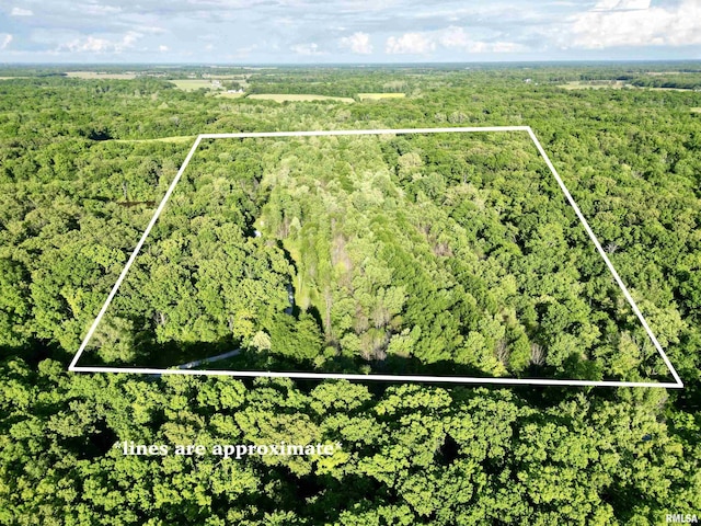 7544 Geranium Rd, Oakdale, IL 62268 - aerial view of property and surrounding area with a forest and property parcel outlined