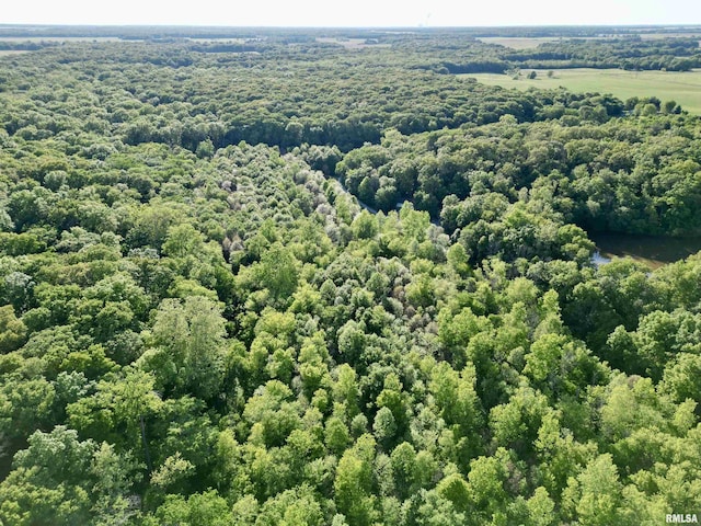 7544 Geranium Rd, Oakdale, IL 62268 - bird's eye view of a forest