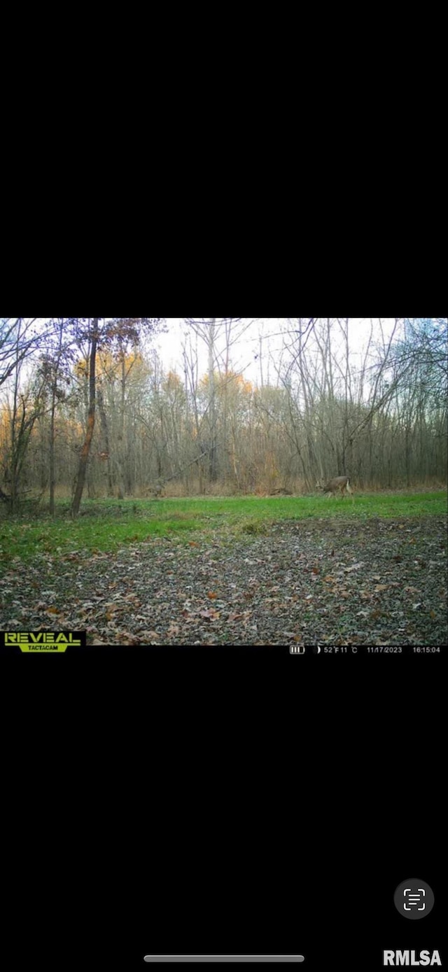 7544 Geranium Rd, Oakdale, IL 62268 - view of yard