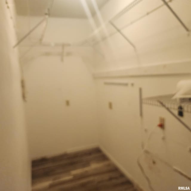15267 N Woodlawn Ln, Woodlawn, IL 62898 - spacious closet with wood finished floors