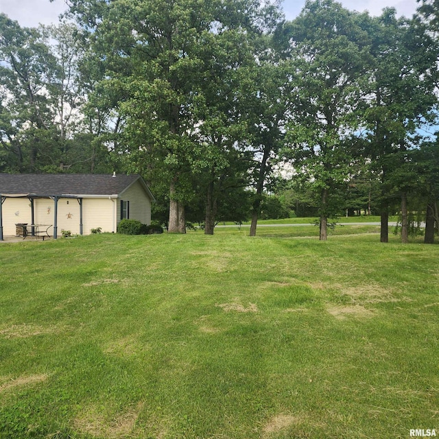 15267 N Woodlawn Ln, Woodlawn, IL 62898 - view of green lawn