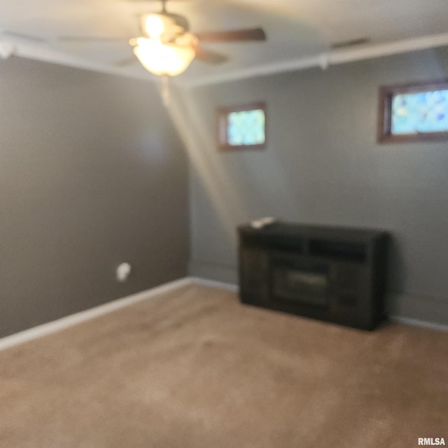 15267 N Woodlawn Ln, Woodlawn, IL 62898 - empty room featuring healthy amount of natural light, carpet flooring, and baseboards