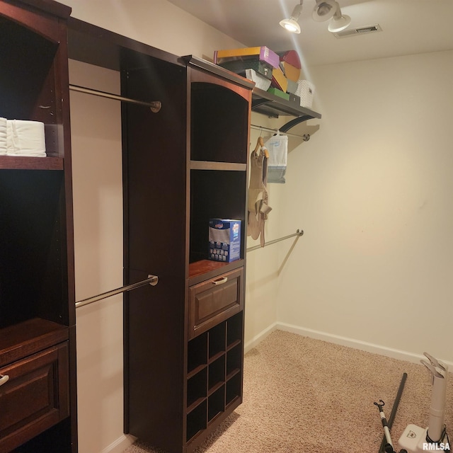 15267 N Woodlawn Ln, Woodlawn, IL 62898 - walk in closet featuring light colored carpet