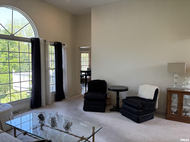 212 Orange St, Anna, IL 62906 - photo 20