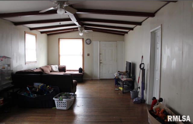 310 W Pecan St, Carbondale, IL 62901 - living room with a ceiling fan and hardwood / wood-style floors