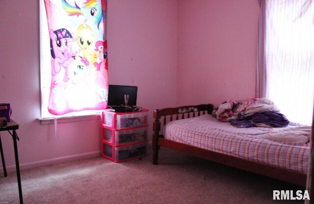 310 W Pecan St, Carbondale, IL 62901 - view of carpeted bedroom