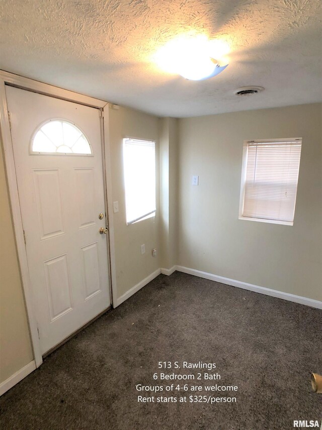 513 S Rawlings St, Carbondale, IL 62901 - photo 11