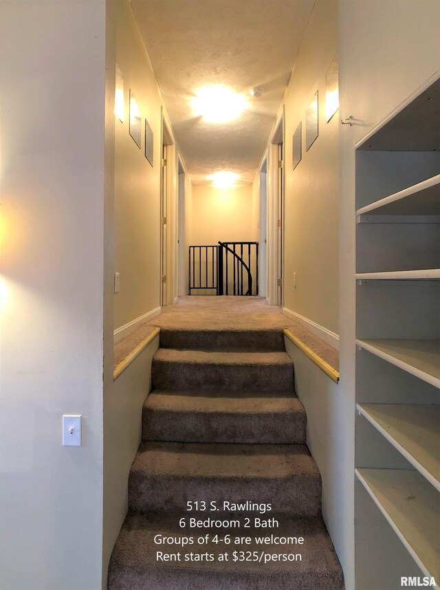 513 S Rawlings St, Carbondale, IL 62901 - photo 15