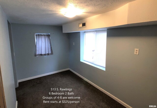 513 S Rawlings St, Carbondale, IL 62901 - photo 10