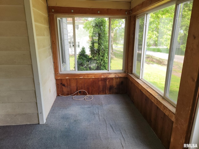 105 E Rea St, Valier, IL 62891 - unfurnished sunroom featuring carpet floors and wooden walls