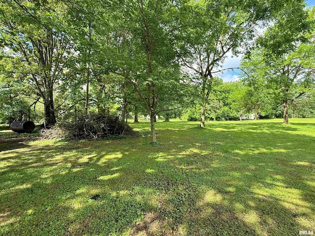 6556 S US-45 Rd, Brookport, IL 62910 - view of green lawn