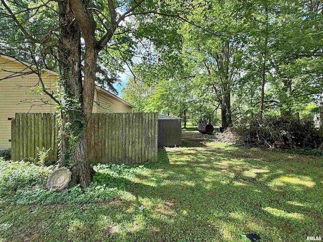 6556 S US-45 Rd, Brookport, IL 62910 - view of yard