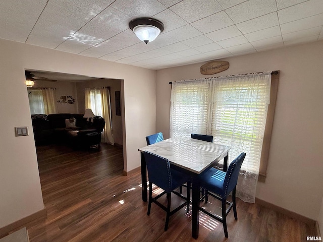 6556 S US-45 Rd, Brookport, IL 62910 - dining room with healthy amount of natural light, wood finished floors, and baseboards