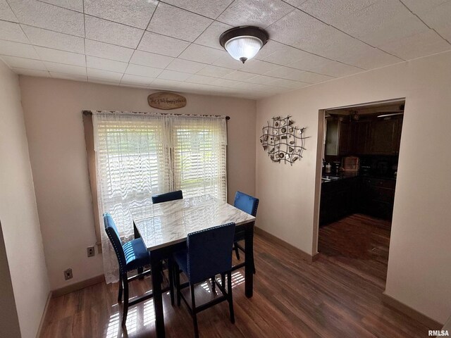 6556 S US-45 Rd, Brookport, IL 62910 - dining room featuring dark wood finished floors and baseboards