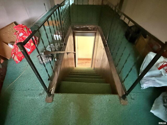 6556 S US-45 Rd, Brookport, IL 62910 - staircase featuring carpet