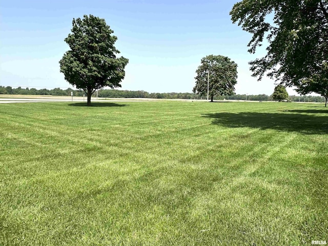 23208 N US Highway 51, Centralia, IL 62801 - view of grassy yard