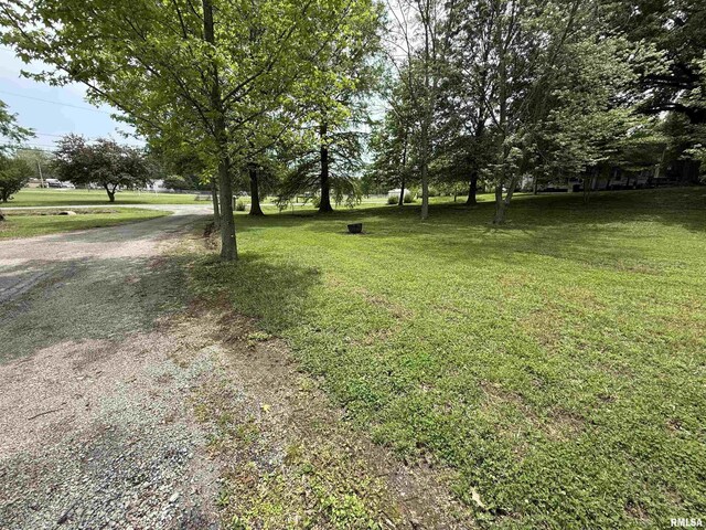 405 S Park Ct, Percy, IL 62292 - view of grassy yard