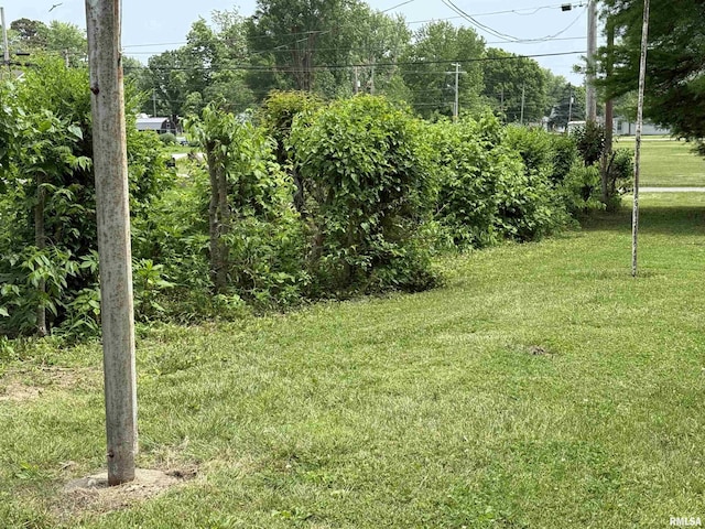 405 S Park Ct, Percy, IL 62292 - view of green lawn