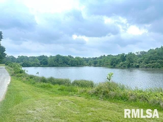 1 Minetree Ln, Carbondale, IL 62903