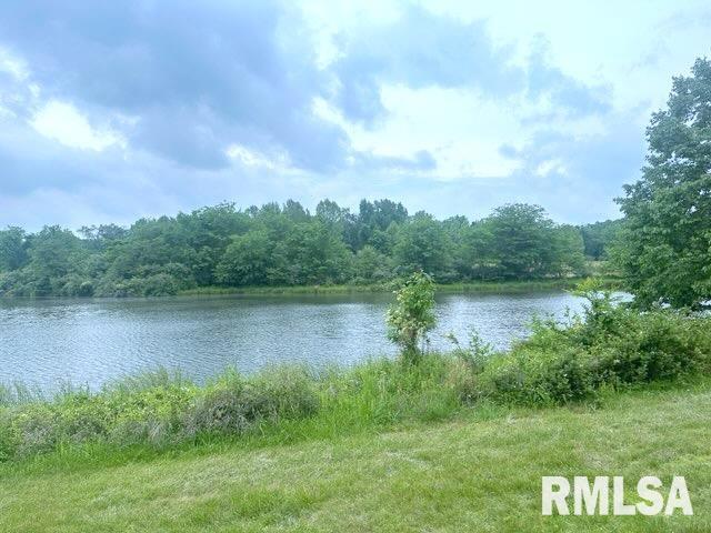 1 Minetree Ln, Carbondale, IL 62903
