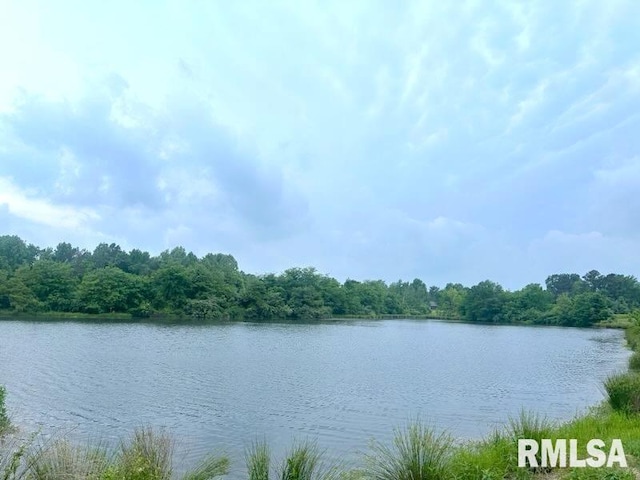 1 Minetree Ln, Carbondale, IL 62903