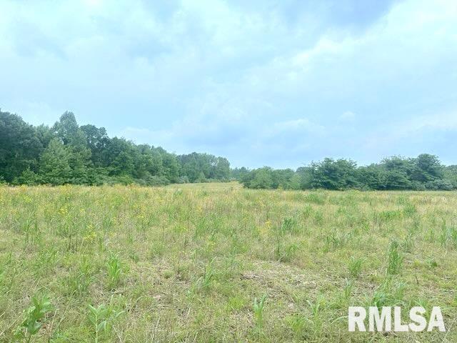 1 Minetree Ln, Carbondale, IL 62903