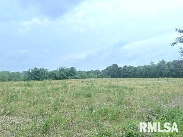 1 Minetree Ln, Carbondale, IL 62903