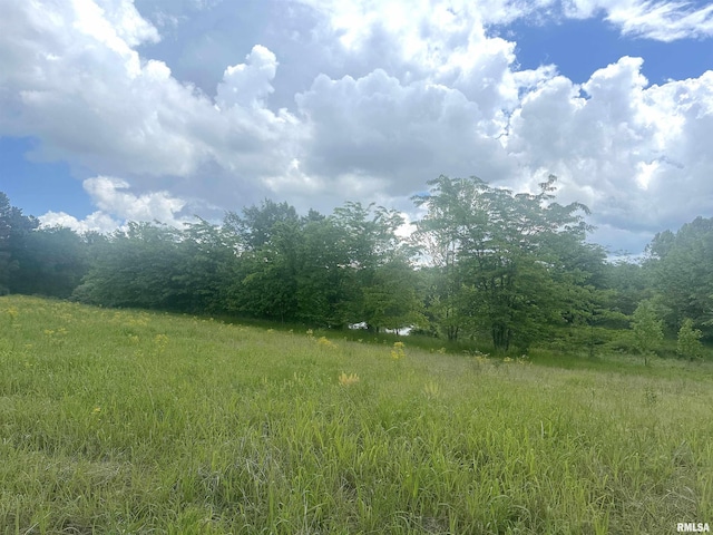 1 Minetree Ln, Carbondale, IL 62903