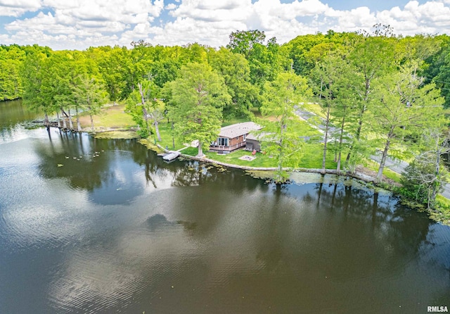 631 Community Beach Rd, Centralia, IL 62801 - view from above of property featuring a large body of water and a forest