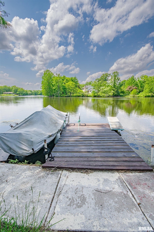 631 Community Beach Rd, Centralia, IL 62801 - dock with a water view