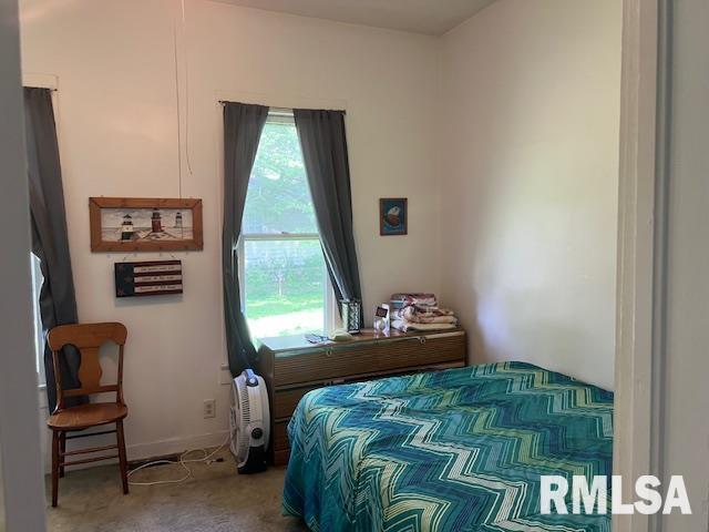 bedroom featuring carpet flooring