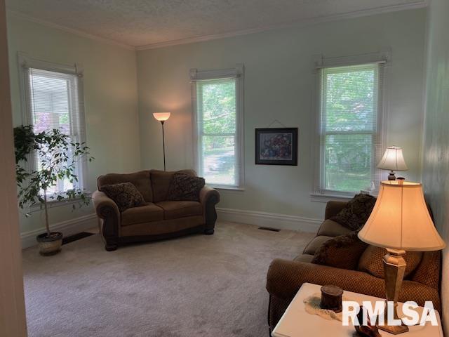 carpeted living room featuring crown molding, healthy amount of natural light, and baseboards
