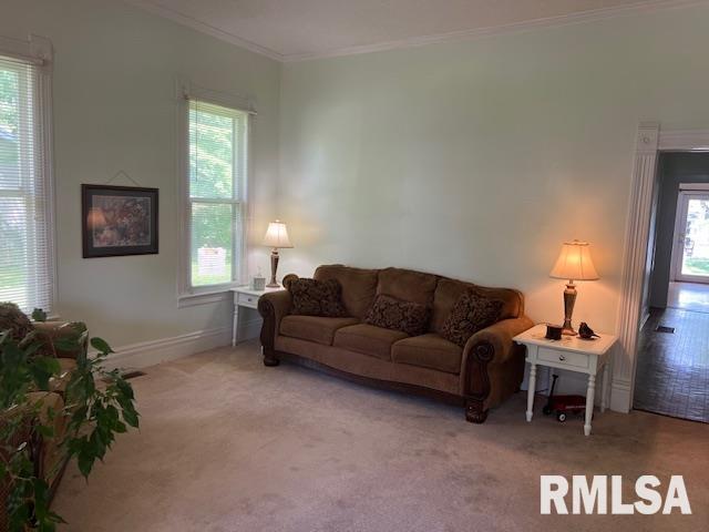 living area with carpet, crown molding, healthy amount of natural light, and baseboards